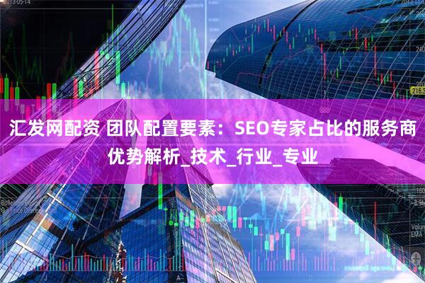 汇发网配资 团队配置要素：SEO专家占比的服务商优势解析_技术_行业_专业