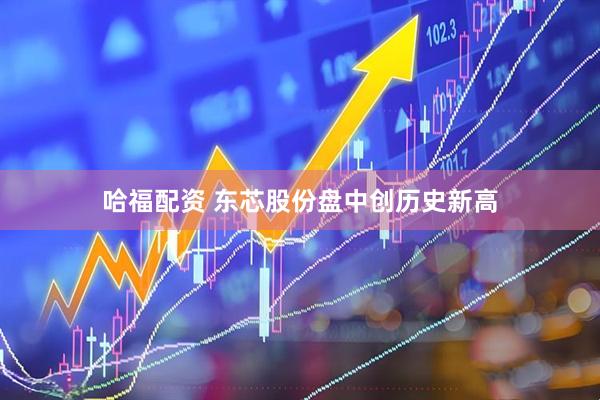 哈福配资 东芯股份盘中创历史新高