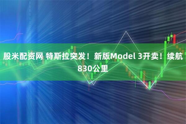 股米配资网 特斯拉突发！新版Model 3开卖！续航830公里