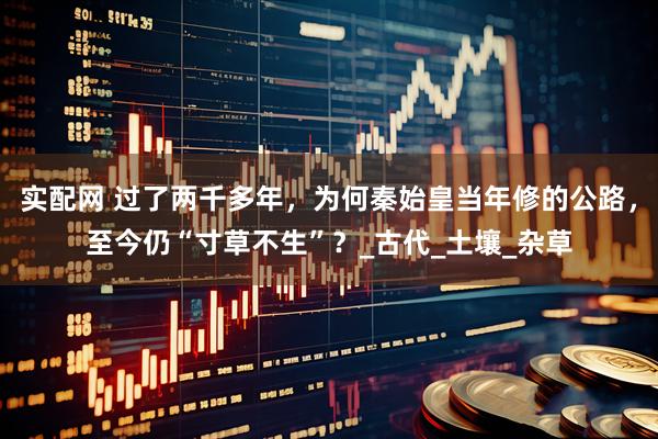 实配网 过了两千多年，为何秦始皇当年修的公路，至今仍“寸草不生”？_古代_土壤_杂草