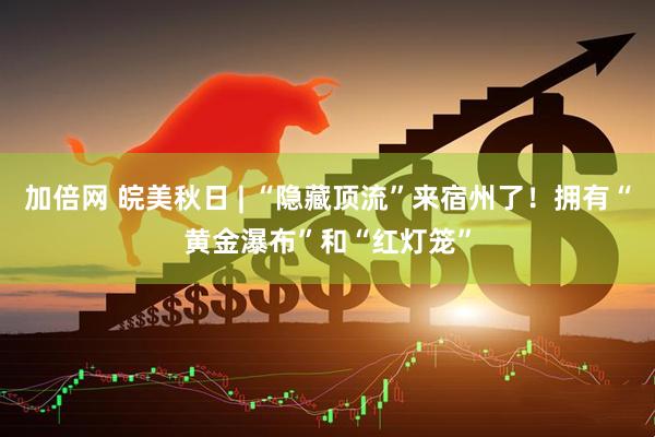 加倍网 皖美秋日 | “隐藏顶流”来宿州了！拥有“黄金瀑布”和“红灯笼”